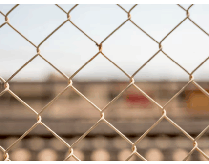 Doppelstabmattenzaun