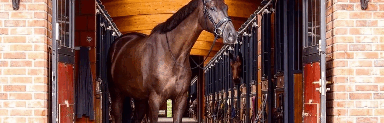 Reitsportgeschäft