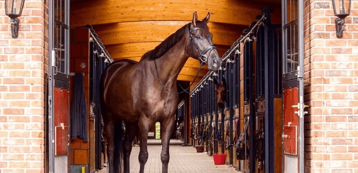 Reitsportgeschäft
