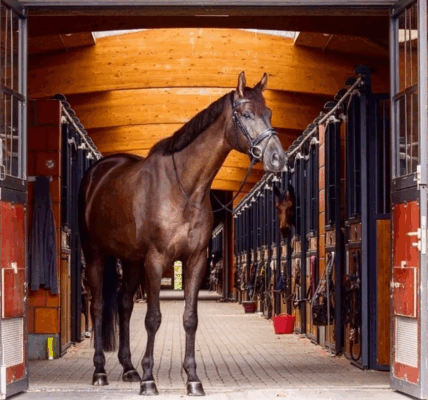 Reitsportgeschäft