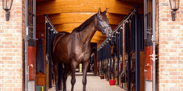 Reitsportgeschäft